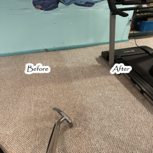 Carpet cleaning and odor removal process Carpet cleaning Rhode Island Carpet cleaning Providence