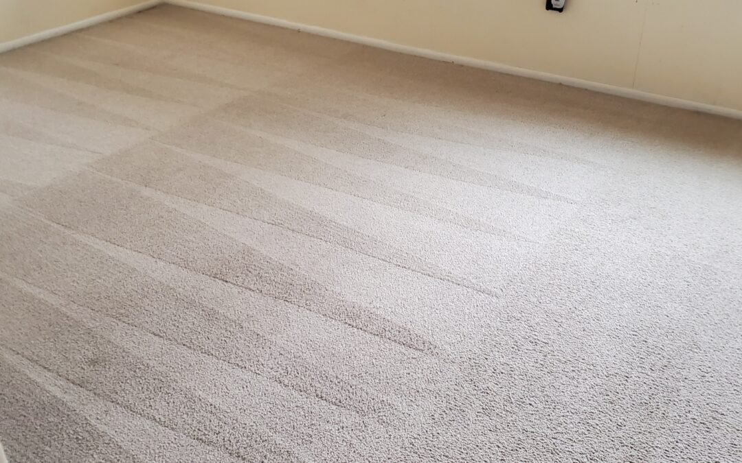 Carpet Cleaning
