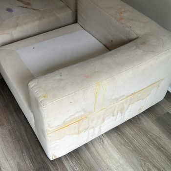 Upholstery cleaning near me providence